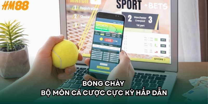 Bóng chày - Bộ môn cá cược cực kỳ hấp dẫn