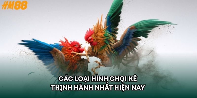 Các loại hình chọi kê thịnh hành nhất hiện nay