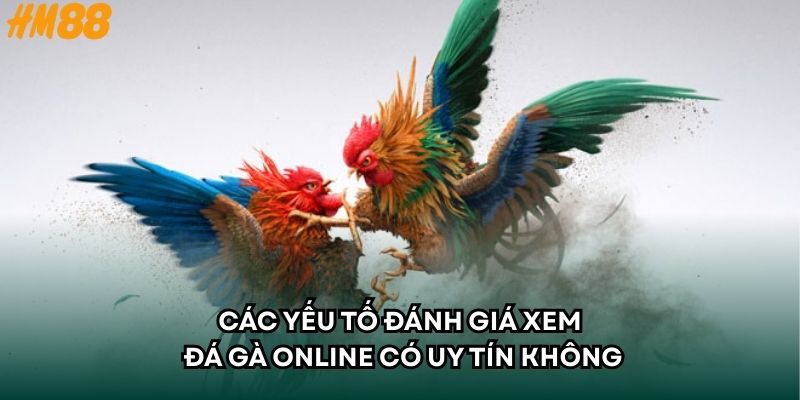 Các yếu tố đánh giá xem đá gà online có uy tín không