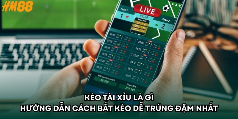 Kèo Tài Xỉu Là Gì - Hướng Dẫn Cách Bắt Kèo Dễ Trúng Đậm Nhất