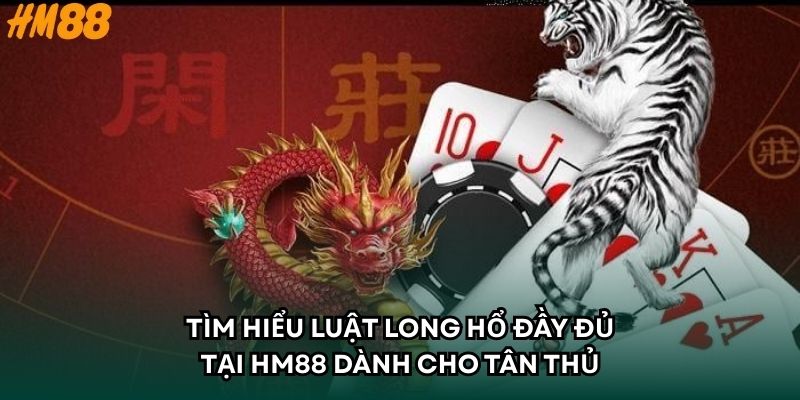 Tìm hiểu luật chơi Long Hổ đầy đủ tại HM88 dành cho tân thủ