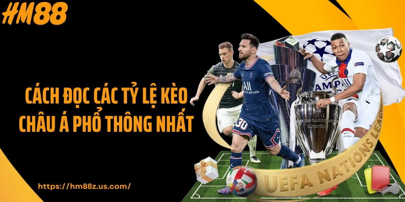 Cách đọc các tỷ lệ kèo châu Á phổ thông nhất
