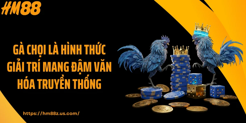 Gà chọi là hình thức giải trí mang đậm văn hóa truyền thống
