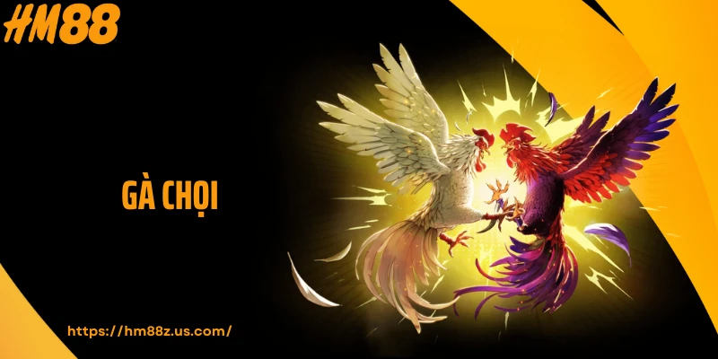 Top 3 Trải Nghiệm Hấp Dẫn Khi Xem Gà Chọi HM88