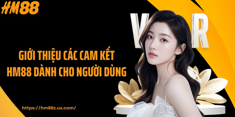 Giới thiệu các cam kết HM88 dành cho người dùng