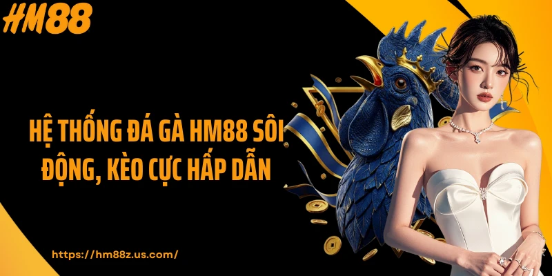 Hệ thống đá gà HM88 sôi động, kèo cực hấp dẫn