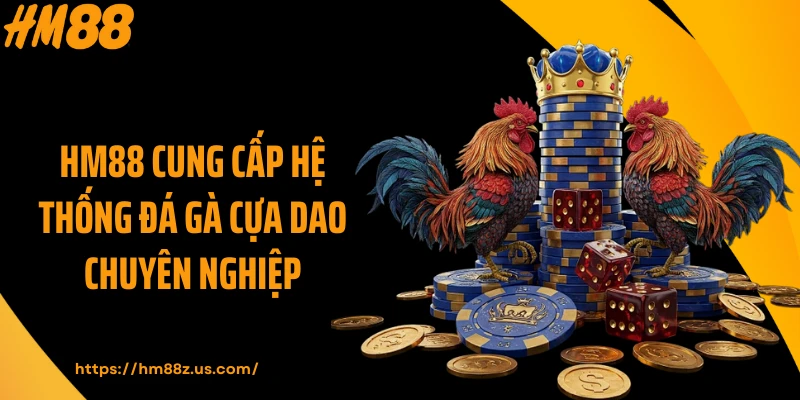 HM88 cung cấp hệ thống đá gà cựa dao chuyên nghiệp