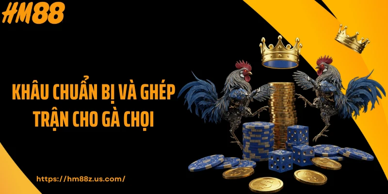 Khâu chuẩn bị và ghép trận cho gà chọi