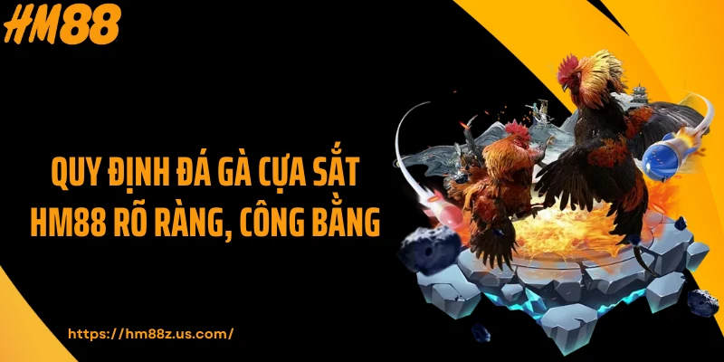 Quy định đá gà cựa sắt HM88 rõ ràng, công bằng