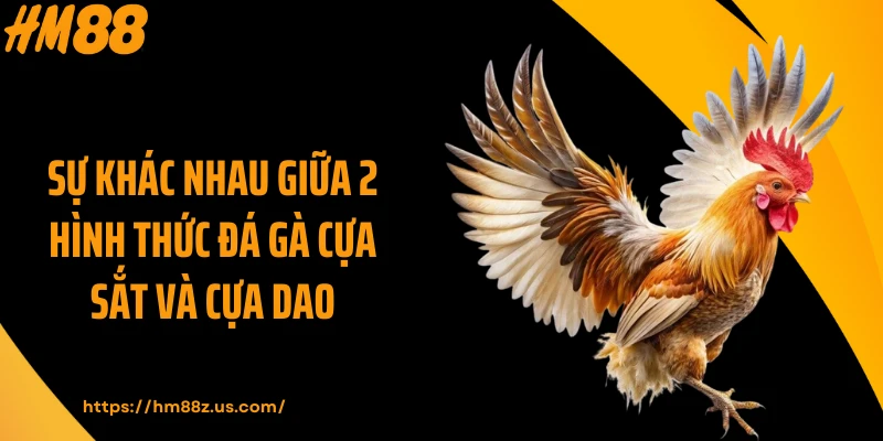 Sự khác nhau giữa 2 hình thức đá gà cựa sắt và cựa dao
