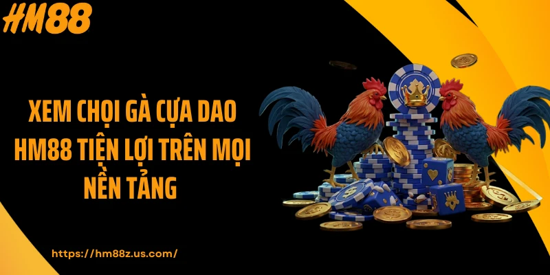 Xem chọi gà cựa dao HM88 tiện lợi trên mọi nền tảng 