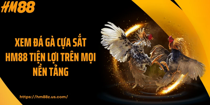 Xem đá gà cựa sắt HM88 tiện lợi trên mọi nền tảng